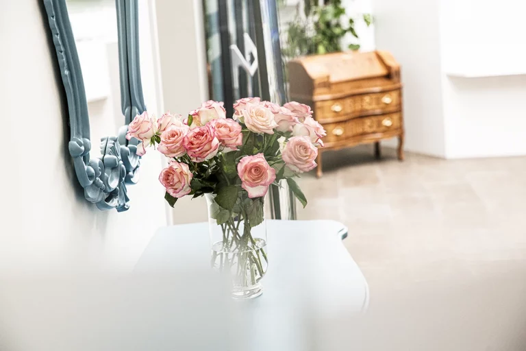 La Princessa Studio Therme Wien